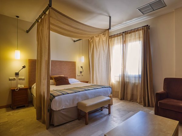 hotel spa ribera del duero junior suite