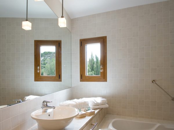 hotel spa ribera del duero junior suite