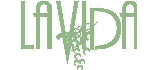 LOGO HOEL SPA LA VIDA